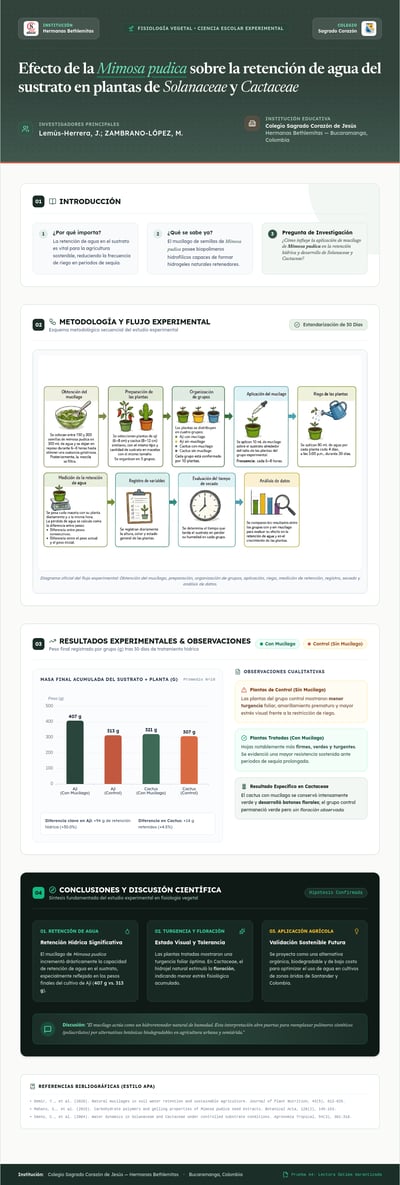 Póster escolar verde y blanco sobre Mimosa pudica con flujo experimental ilustrado y gráfica de barras