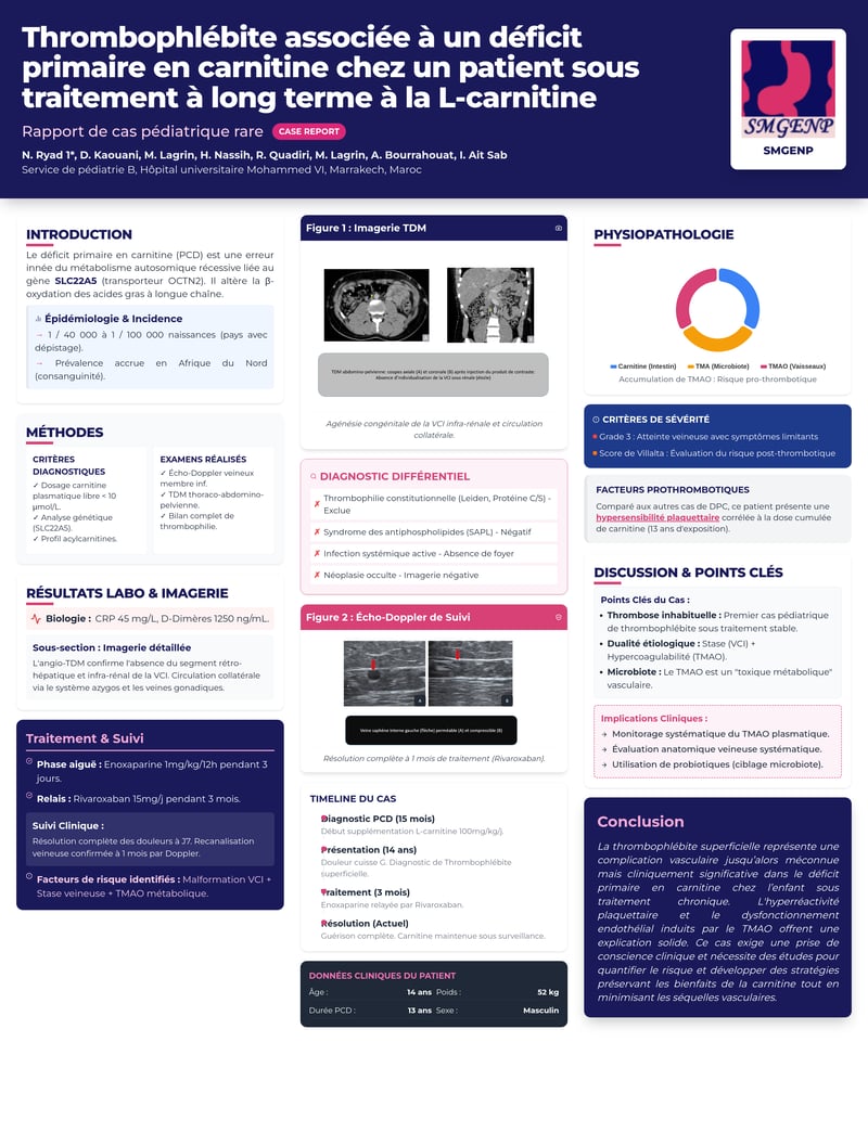 Academic Poster